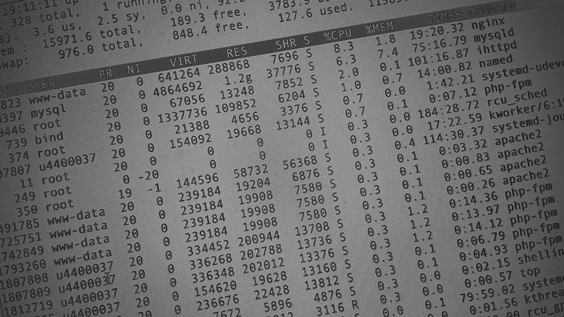 Настройка сервера в Иваново