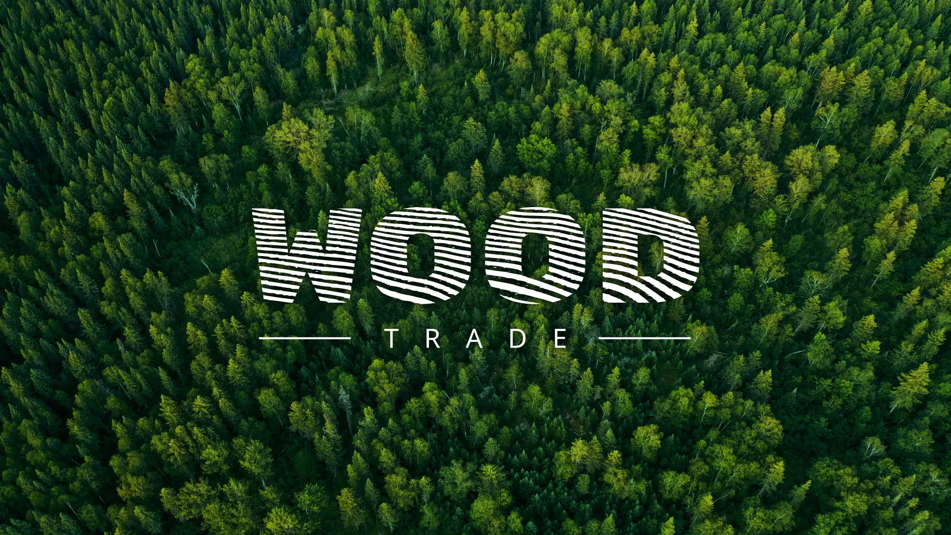 Разработка интернет-магазина компании «Wood Trade» в Иваново